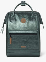 Personaliseerbare Rugzak Adventurer Medium Cabaia Groen adventurer BAGS