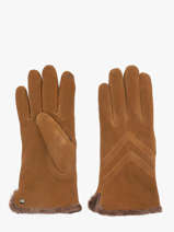 Handschoenen Isotoner Bruin women gloves 85159