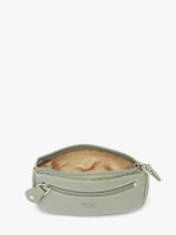 Portemonnee Caviar Leder Crinkles Groen caviar 14036-vue-porte