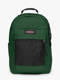 bristle green