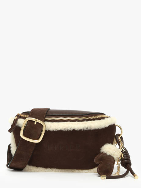Heuptasje Alpin Leder Etrier Bruin alpin EALP022M
